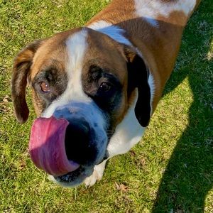 Meet your Posher, Kaylee